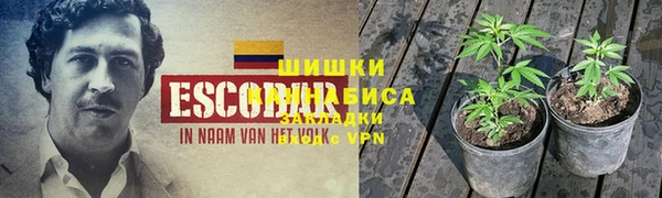 соль курить ск Арсеньев