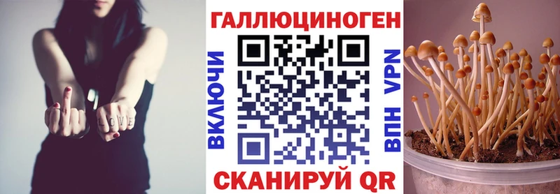 Галлюциногенные грибы Psilocybe  Слюдянка 